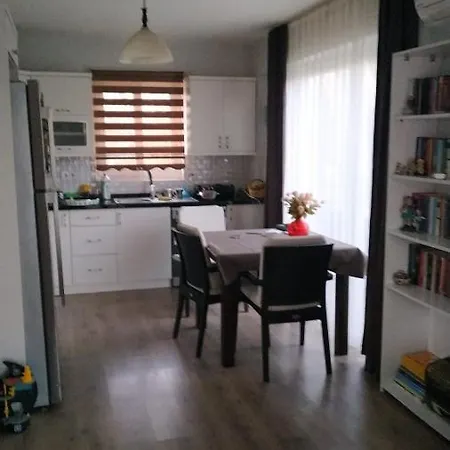 Vilă Infinity Sarigerme 2